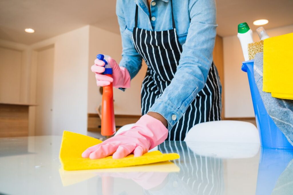 House Cleaning Services