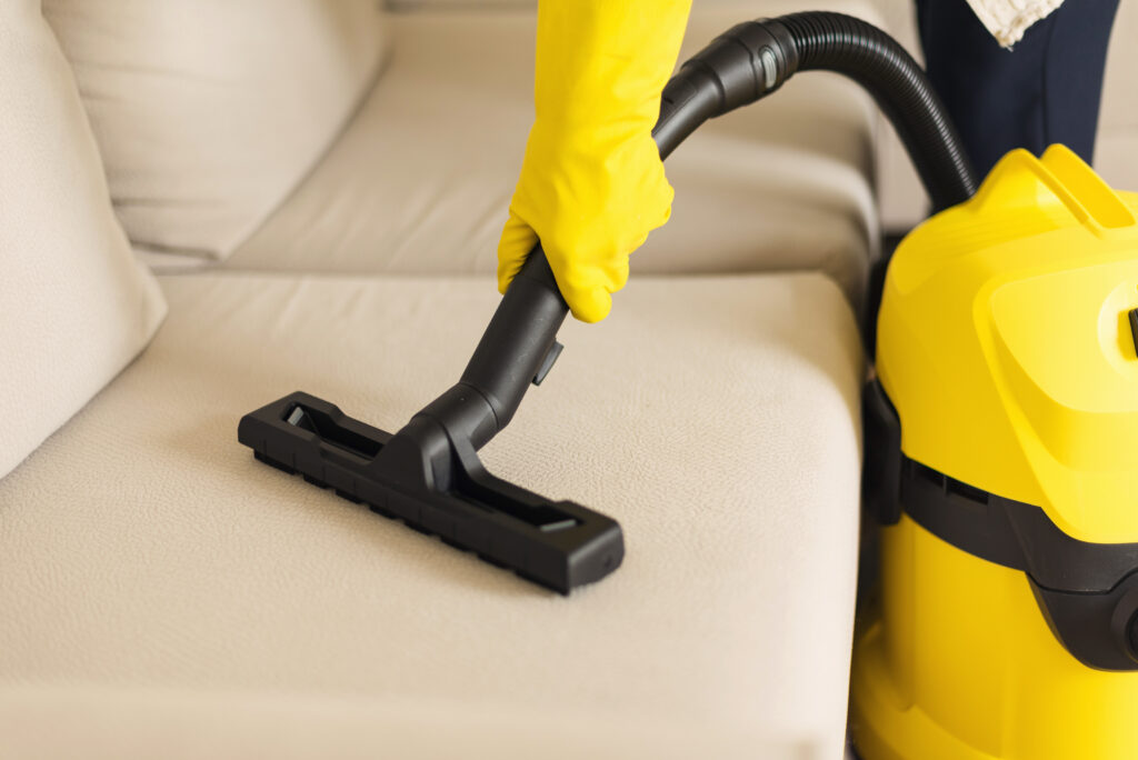 regular house cleaning